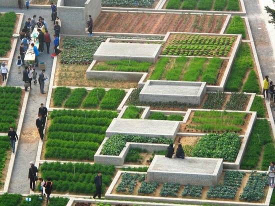 La ferme verte colossale de valeur s'épanouit dans une ancienne usine en Chine