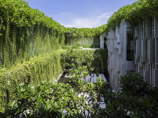 Les usines vivantes abondantes engloutissent la station thermale pure vert-couverte au Vietnam