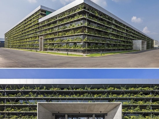 Des rangées de plantes bordent l'extérieur de ce bâtiment de l'usine