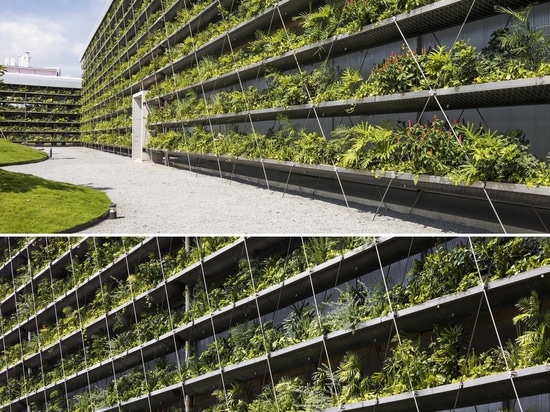 Des rangées de plantes bordent l'extérieur de ce bâtiment de l'usine