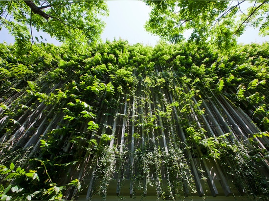 un système des auvents concrets verticaux avec les vignes vertes réduit la lumière du soleil directe tout en permettant l'écoulement de vent