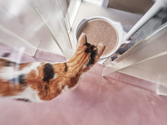 Un équilibre parfait entre exubérance et raffinement : les robinets Ritmonio pour The Meishan Cat House, Taipei.