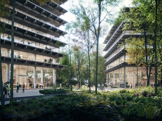 Les espaces de travail "poort van de prijkels" de KAAN architecten s'élèveront dans les bois luxuriants de Belgique