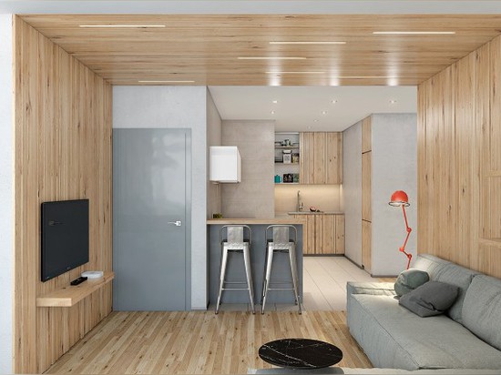 Deux beaux appartements comportant le panneautage en bois