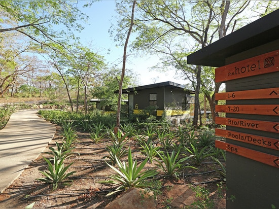 Aucun arbre n'a été enlevé pour créer cet hôtel de pavillon en le Costa Rica