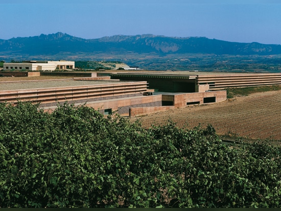 en construisant l'établissement vinicole dans les aides de colline réalisez les bonnes conditions pour le vin de fabrication et de vieillissement