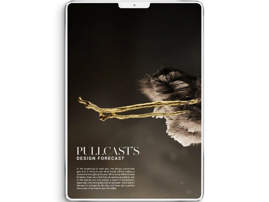 Prévisions de design de Pullcast