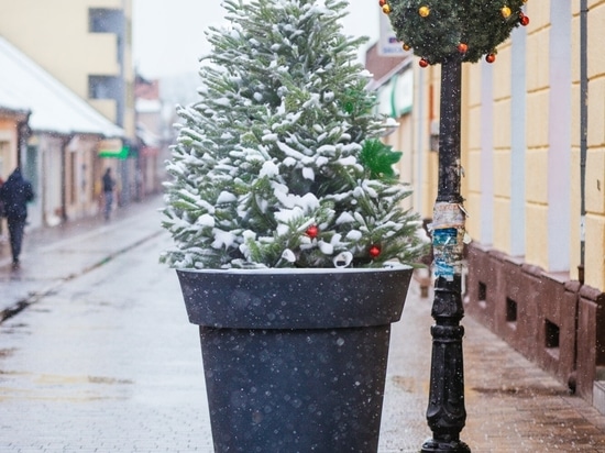 La magie de Noël dans les espaces publics : Transformer les villes avec des jardinières et des décorations festives