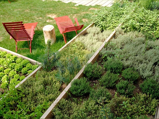 le potager a un appel multi-sensory qui satisfait le nez aussi bien que l'oeil