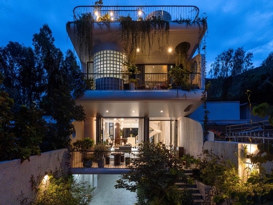 Les plantes descendent en cascade le long de l'extérieur de cette nouvelle maison