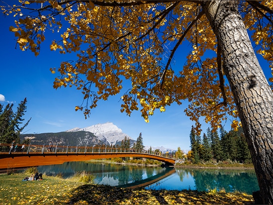 L'arche en bois du pont piétonnier de Nancy Pauw enjambe la rivière Bow au Canada