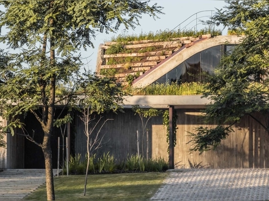 Une maison qui s'élève du sol et forme un jardin à trois niveaux