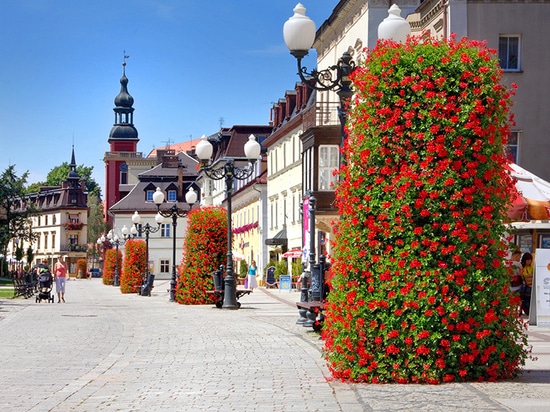 Tours florales : Les jardins verticaux redéfinissent les espaces verts urbains