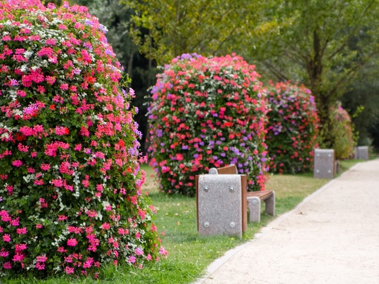 Tours florales : Les jardins verticaux redéfinissent les espaces verts urbains