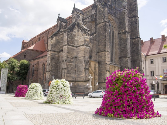Tours florales : Les jardins verticaux redéfinissent les espaces verts urbains