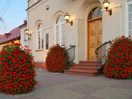 Tours florales : Les jardins verticaux redéfinissent les espaces verts urbains
