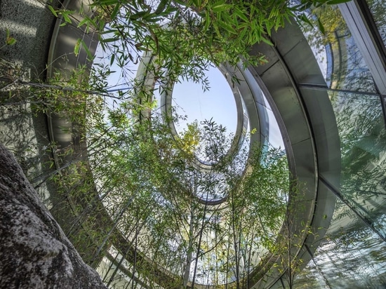 Un nouveau café en Corée du Sud qui s'inspire d'une promenade dans la nature
