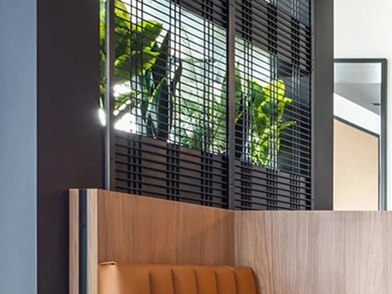 Dans cet espace de coworking, le treillis métallique soudé Banker WDZ-539 est utilisé comme treillis dans la jardinière d'intérieur.