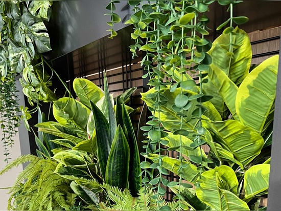 Dans cet espace de coworking, le treillis métallique soudé Banker WDZ-539 est utilisé comme treillis dans la jardinière d'intérieur.