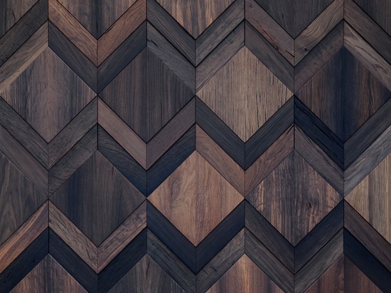 Wonderwall Studios - Indice Bog Oak