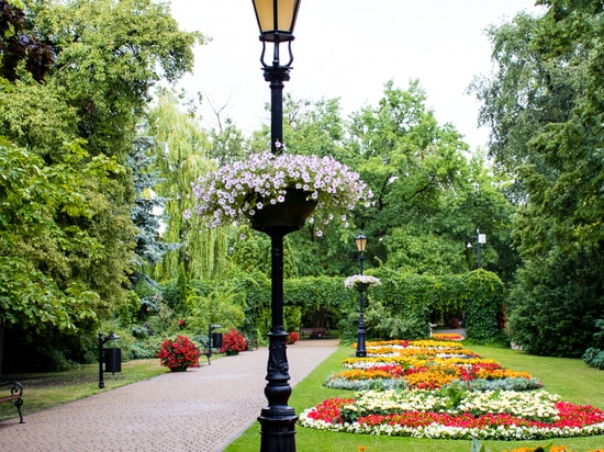 Jardinières de lampadaires : S'épanouir au-dessus des rues