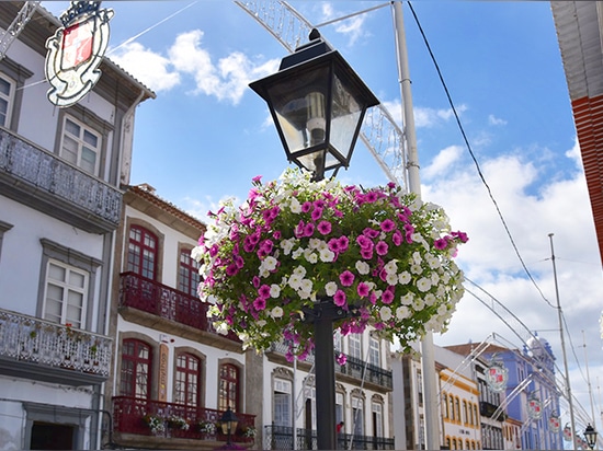 Jardinières de lampadaires : S'épanouir au-dessus des rues