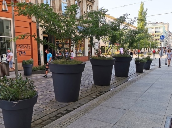 L'élégance urbaine en monochrome : Des jardinières surdimensionnées pour des paysages urbains modernes