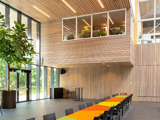 Collège Koning Willem II, Rotterdam