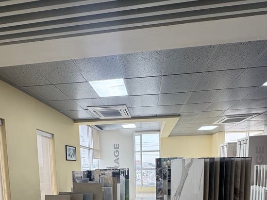 Plafond métallique Atena