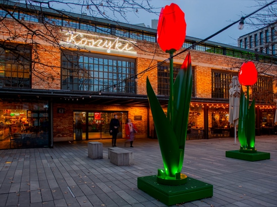 Villes d'été en fleurs et en lumière : Une nouvelle ère d'illuminations urbaines