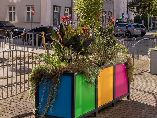 Couleur personnalisée et impact civique dans le langage des planteurs