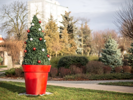 Le sapin de Noël : un incontournable des centres-villes