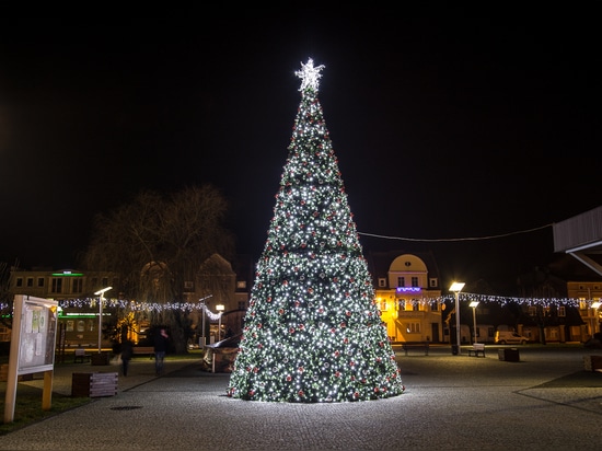 Le sapin de Noël : un incontournable des centres-villes