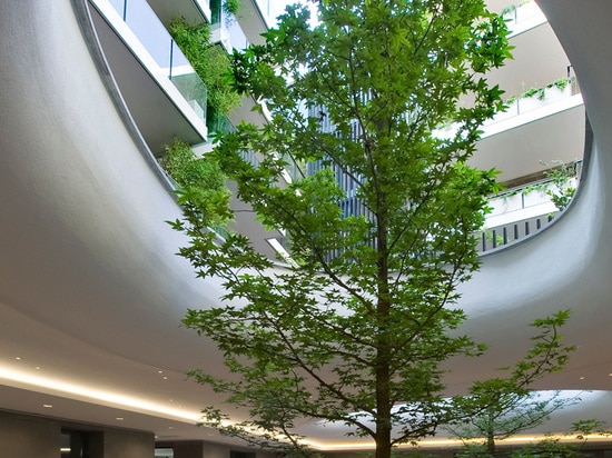 Les arbres se développent par deux ? yeux elliptiques ? d'un jardin suspendu à ce bâtiment