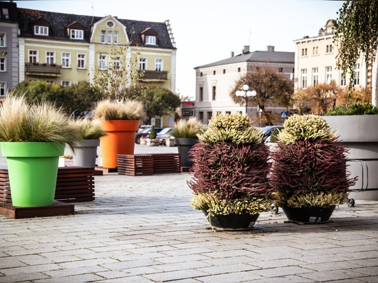 Pots urbains et tours de fleurs idéales pour les compositions d'automne