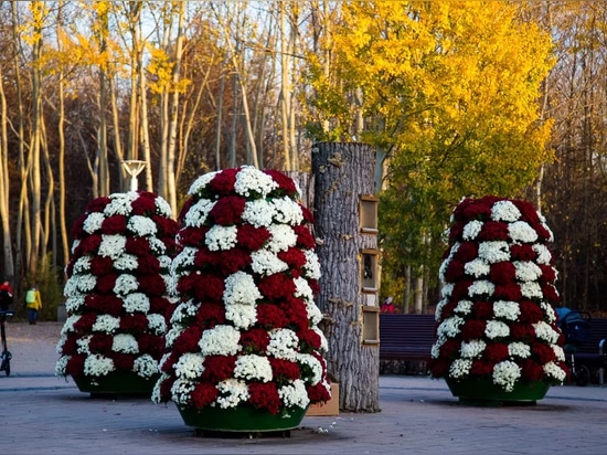 Pots urbains et tours de fleurs idéales pour les compositions d'automne