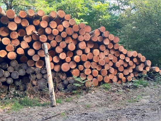 Protection du Littoral & Aménagement Paysager : L'Excellence du Douglas par Woodspars