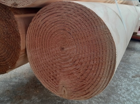 Protection du Littoral & Aménagement Paysager : L'Excellence du Douglas par Woodspars