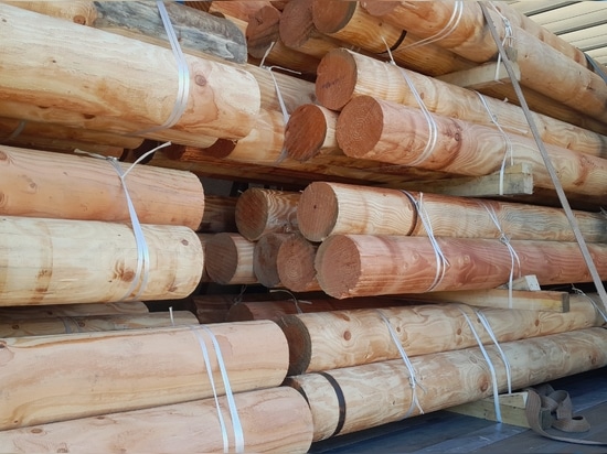 Protection du Littoral & Aménagement Paysager : L'Excellence du Douglas par Woodspars