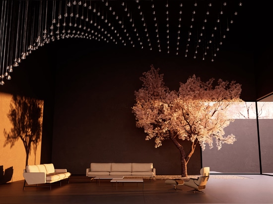 Composition sur mesure Mizu