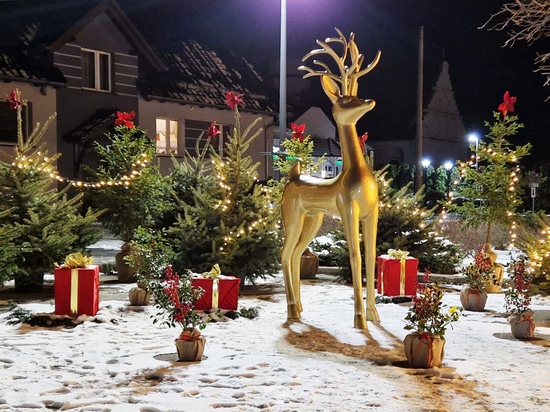 Ce que nous pouvons apprendre des décorations de Noël de cette saison