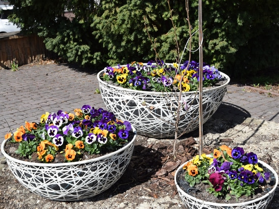 Tendances de Pâques dans les espaces urbains : les arrangements du printemps