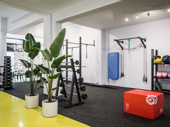 Claustras sur mesure Bloomming pour le Workoutclub de Rotterdam
