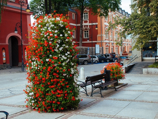 Design émotionnel dans les espaces publics : façonner l'expérience urbaine quotidienne