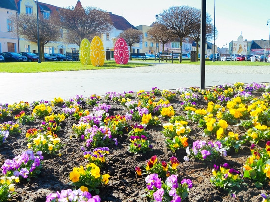 Aménagements printaniers dans les espaces publics : couleur, luminosité et structure