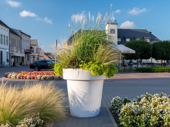 Aménagements printaniers dans les espaces publics : couleur, luminosité et structure