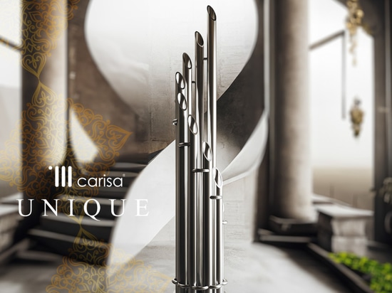Avez-vous vu l'UNIQUE de Carisa's Luxury Collection ?