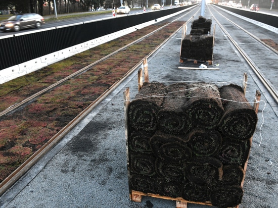BERA RailFix
