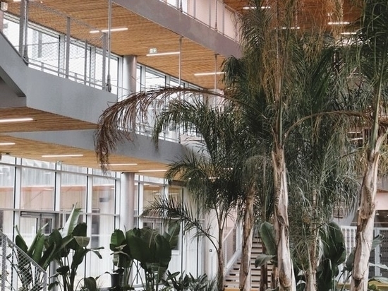 L’éclairage encastré LED et bois : design, technique et confort visuel