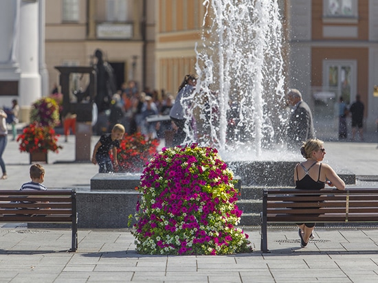 Tours de fleurs dans l'espace urbain : une verdure saisonnière à fort impact visuel